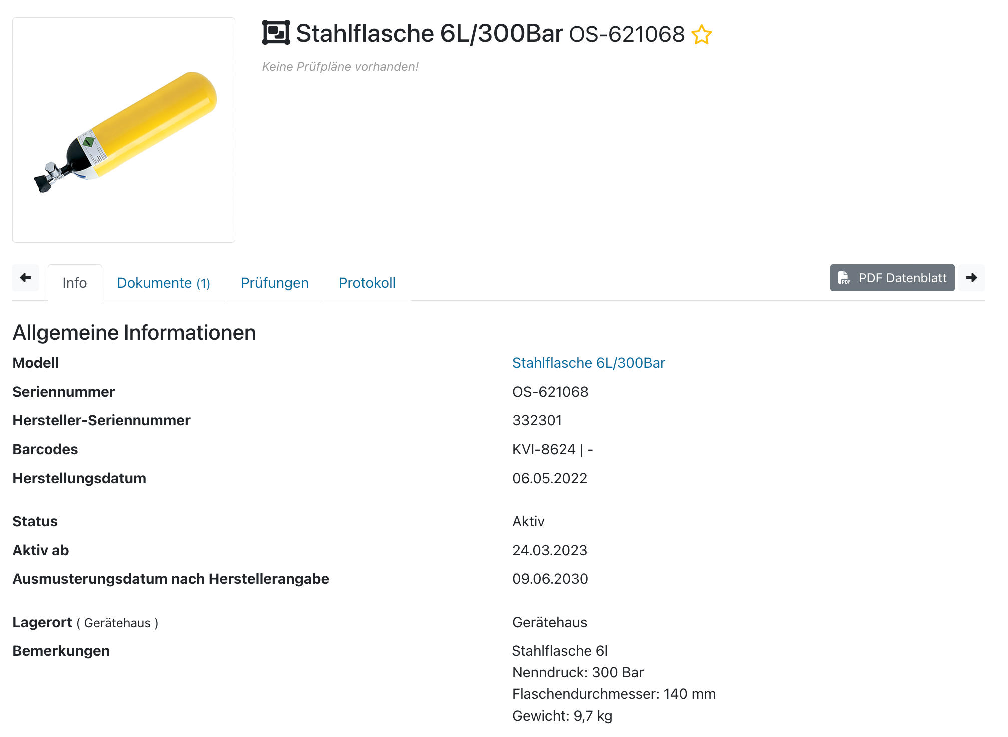 Vom Pool-Manager vererbte Gerätedetails